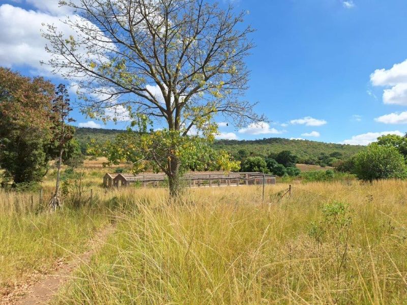 A view of a rural farm property featuring open fields, mature trees, and a distant outbuilding structure under a clear blue sky.