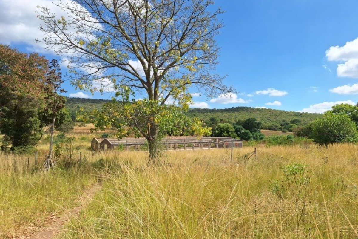 A view of a rural farm property featuring open fields, mature trees, and a distant outbuilding structure under a clear blue sky.