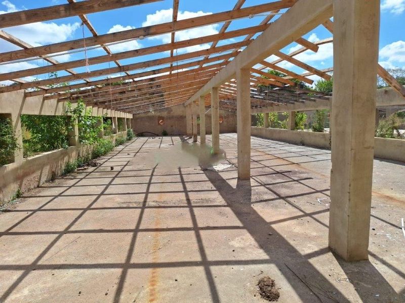 Large open-plan utility or agricultural structure featuring exposed timber roof rafters, concrete columns, and a concrete slab floor, currently in a shell state.