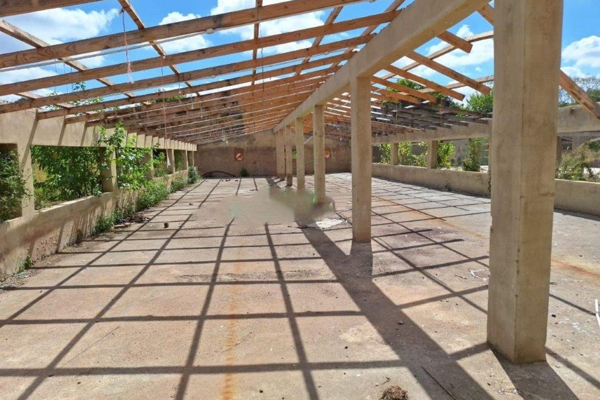 Large open-plan utility or agricultural structure featuring exposed timber roof rafters, concrete columns, and a concrete slab floor, currently in a shell state.