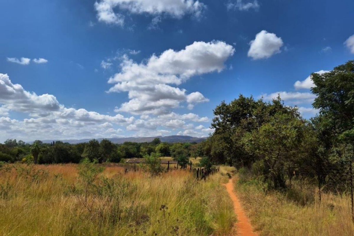 A scenic view of the farm landscape featuring a dirt path, natural vegetation, and a wire fence boundary under a clear blue sky.
