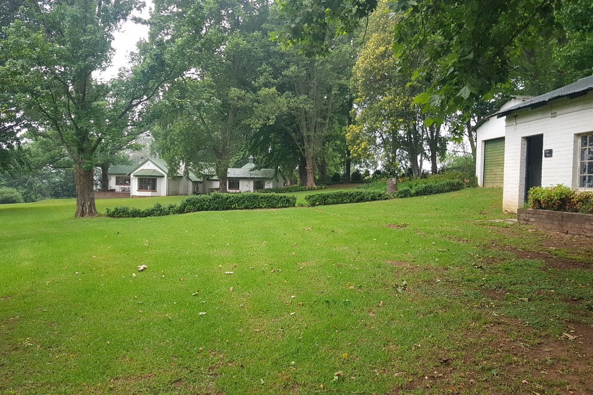 KZN MIDLANDS - 38ha Agricultural Smallholding on river with 2ha Irrigation Rights - R6.5m - Photo 2