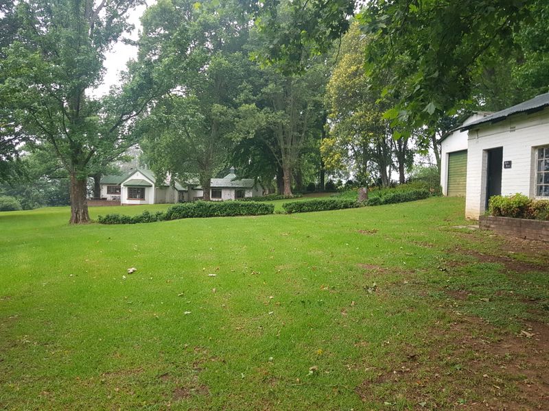 KZN MIDLANDS - 38ha Agricultural Smallholding on river with 2ha Irrigation Rights - R6.5m - Photo 2