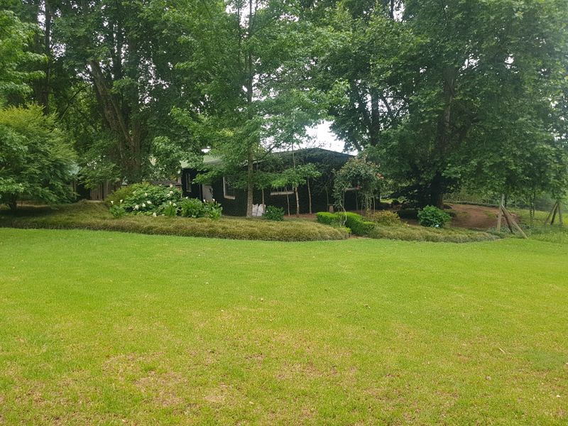 KZN MIDLANDS - 38ha Agricultural Smallholding on river with 2ha Irrigation Rights - R6.5m - Photo 9