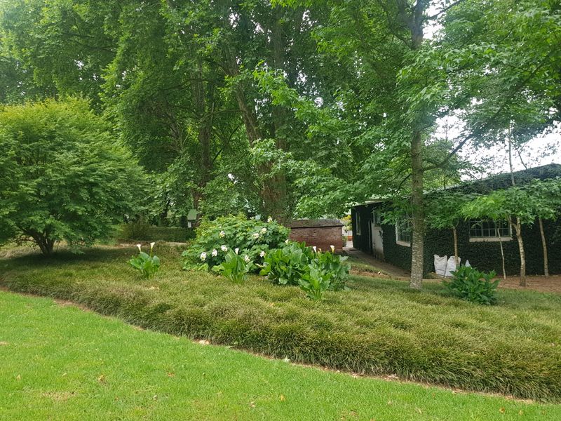 KZN MIDLANDS - 38ha Agricultural Smallholding on river with 2ha Irrigation Rights - R6.5m - Photo 8