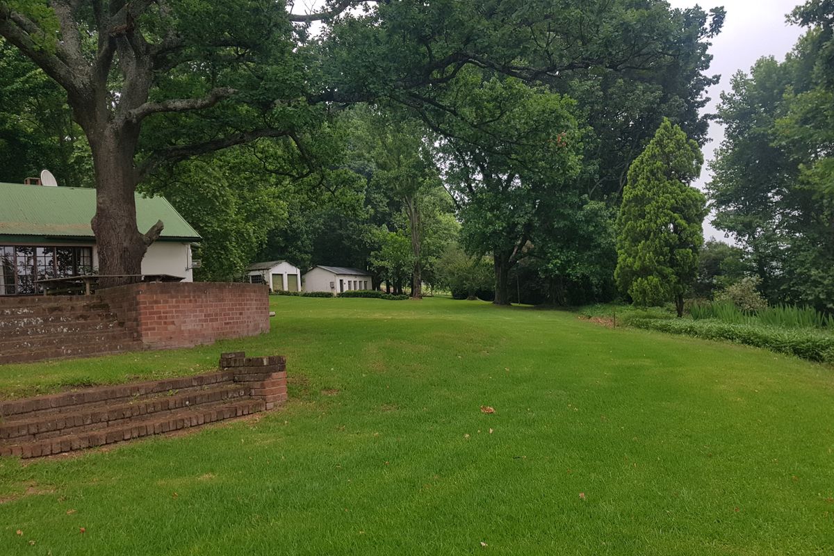 KZN MIDLANDS - 38ha Agricultural Smallholding on river with 2ha Irrigation Rights - R6.5m - Photo 5