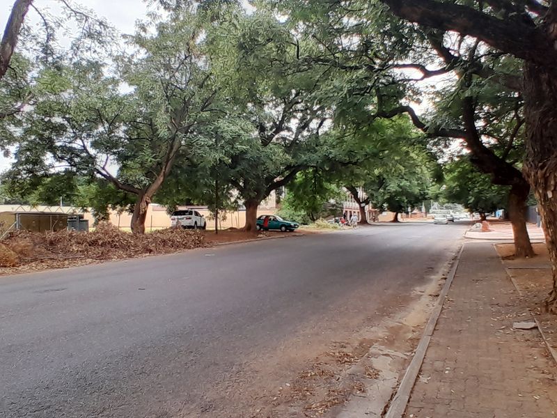 A street view showing the road, paved sidewalk, and mature trees surrounding the property area.