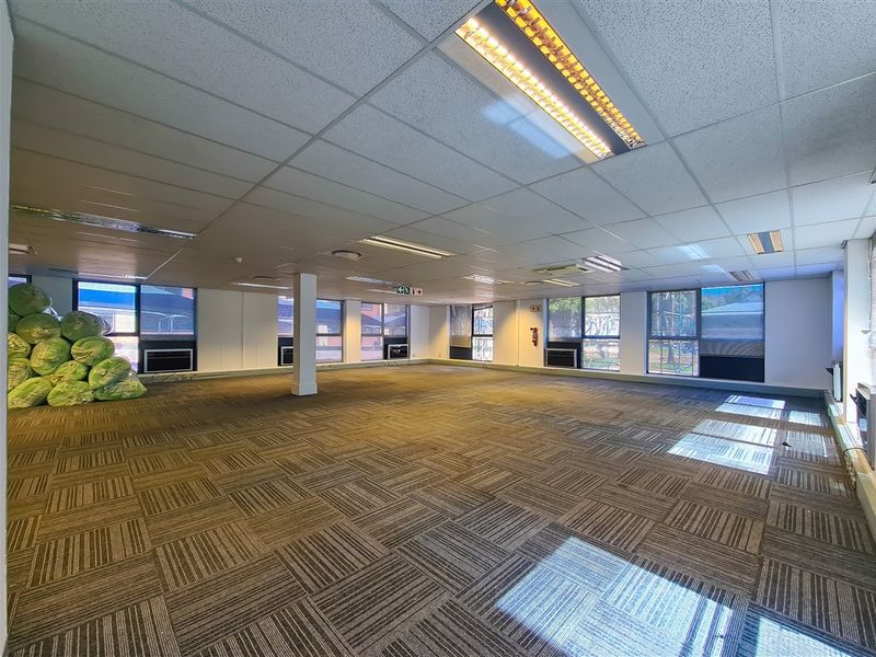 Spacious open-plan office area featuring carpet tiles, suspended ceilings with integrated lighting, and large windows providing ample natural light.