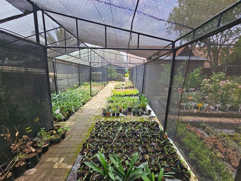 Bussiness opportunity - Photo 9