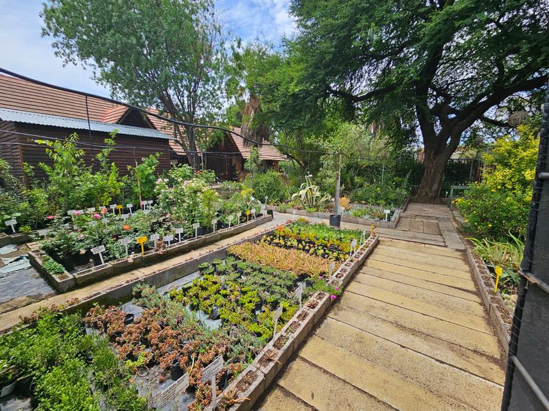 Bussiness opportunity - Photo 10