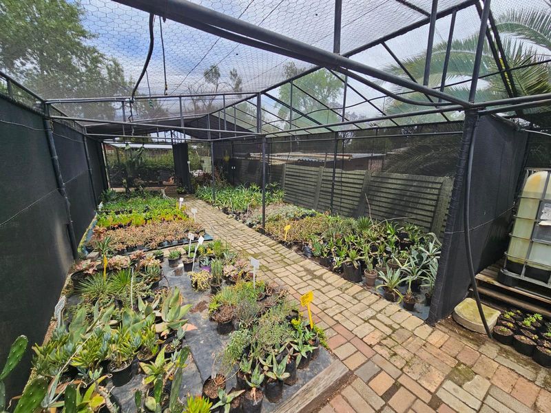 Bussiness opportunity - Photo 8