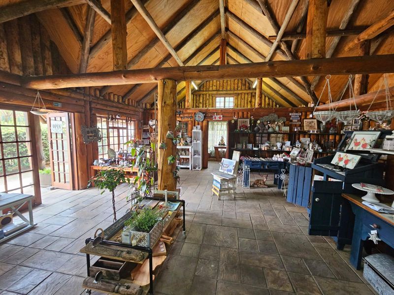 Bussiness opportunity - Photo 7