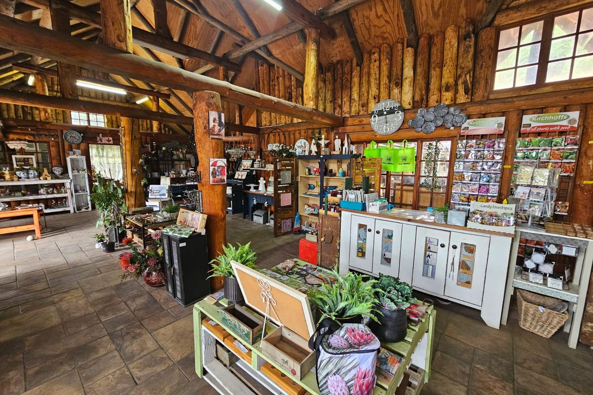 Bussiness opportunity - Photo 5