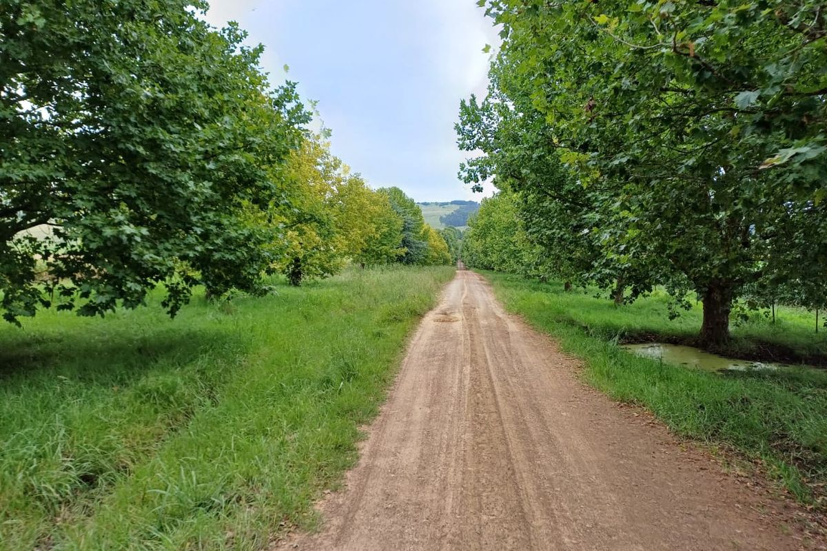 MOOI RIVER : 2 524ha MIXED CATTLE AND CROPPING FARM -COMPRISING 7 ADJOINING SUBDIVISIONS-R62 000 000 - Photo 3
