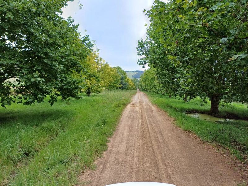 MOOI RIVER : 2 524ha MIXED CATTLE AND CROPPING FARM -COMPRISING 7 ADJOINING SUBDIVISIONS-R62 000 000 - Photo 3