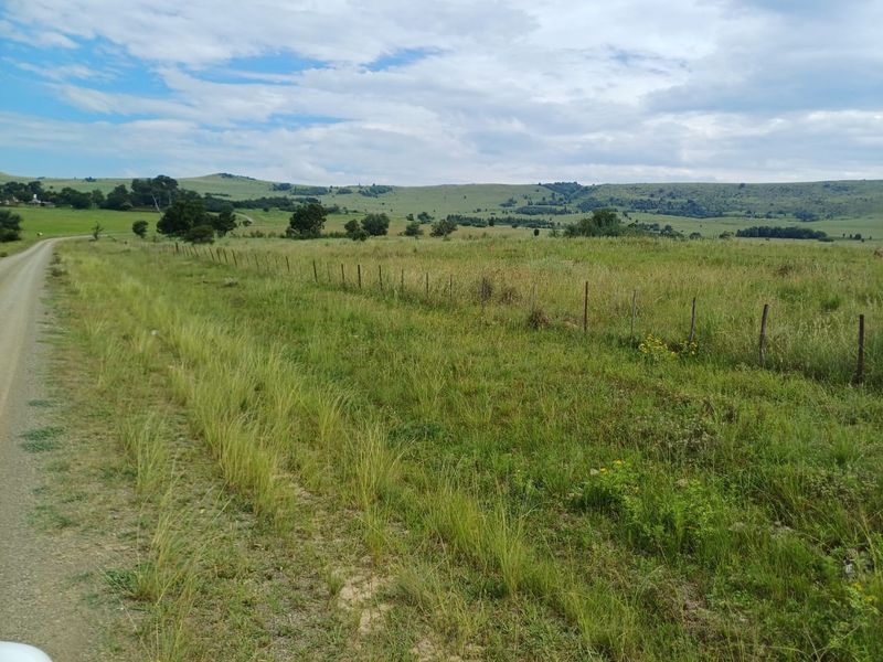 MOOI RIVER : 2 524ha MIXED CATTLE AND CROPPING FARM -COMPRISING 7 ADJOINING SUBDIVISIONS-R62 000 000 - Photo 10