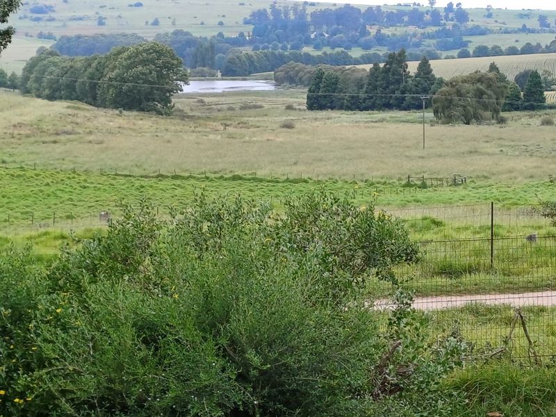 MOOI RIVER : 2 524ha MIXED CATTLE AND CROPPING FARM -COMPRISING 7 ADJOINING SUBDIVISIONS-R62 000 000 - Photo 4