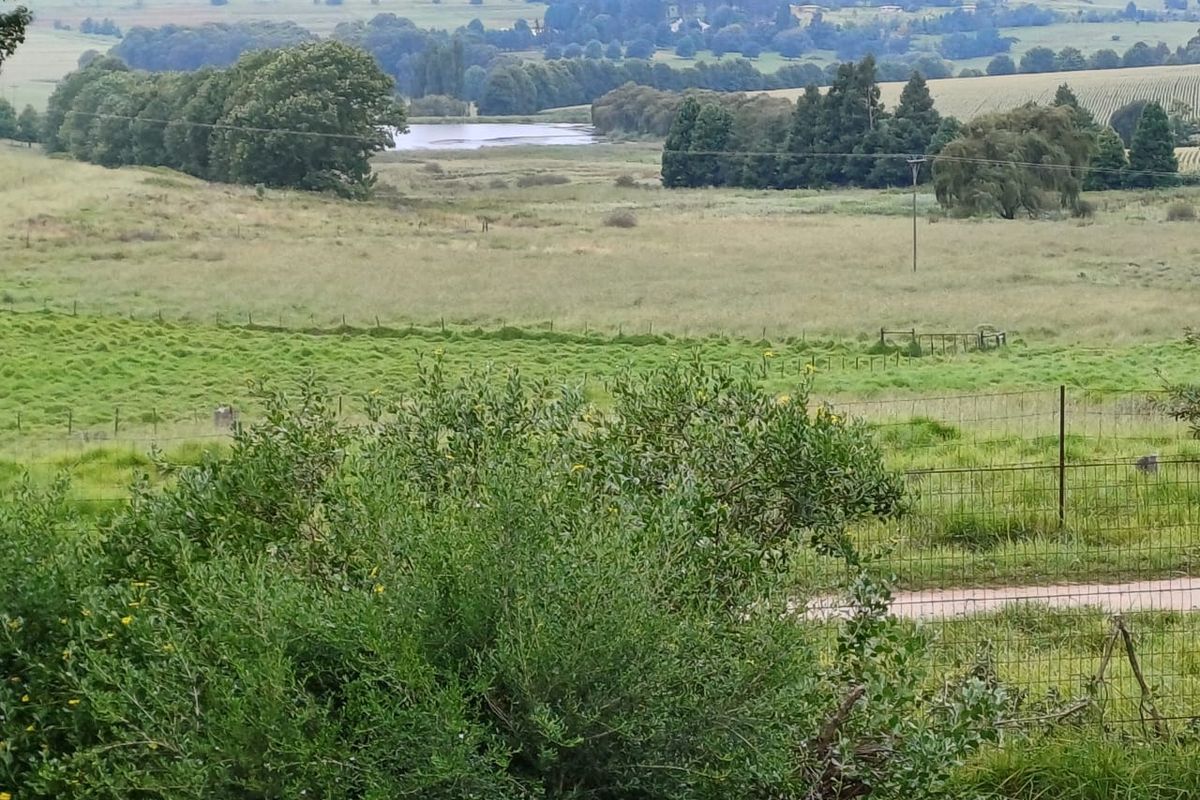 MOOI RIVER : 2 524ha MIXED CATTLE AND CROPPING FARM -COMPRISING 7 ADJOINING SUBDIVISIONS-R62 000 000 - Photo 4