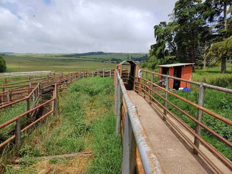 MOOI RIVER : 2 524ha MIXED CATTLE AND CROPPING FARM -COMPRISING 7 ADJOINING SUBDIVISIONS-R62 000 000 - Photo 7