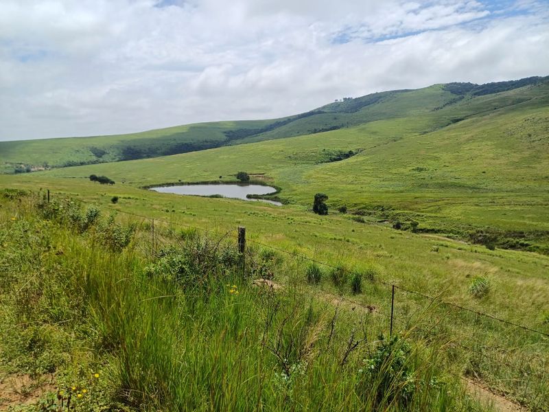 MOOI RIVER : 2 524ha MIXED CATTLE AND CROPPING FARM -COMPRISING 7 ADJOINING SUBDIVISIONS-R62 000 000 - Photo 6