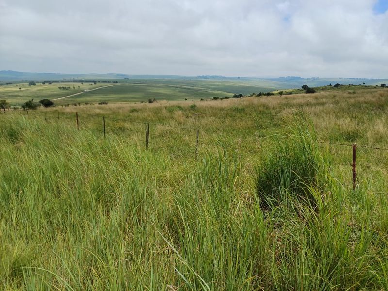 MOOI RIVER : 2 524ha MIXED CATTLE AND CROPPING FARM -COMPRISING 7 ADJOINING SUBDIVISIONS-R62 000 000 - Photo 8