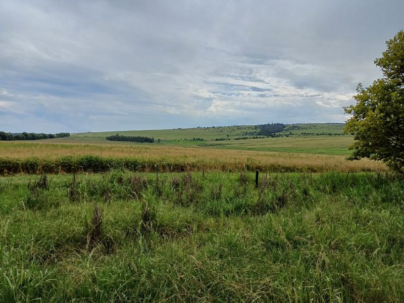 MOOI RIVER : 2 524ha MIXED CATTLE AND CROPPING FARM -COMPRISING 7 ADJOINING SUBDIVISIONS-R62 000 000 - Photo 5