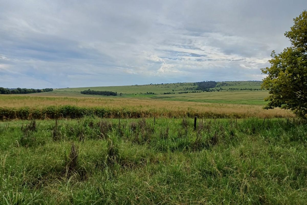 MOOI RIVER : 2 524ha MIXED CATTLE AND CROPPING FARM -COMPRISING 7 ADJOINING SUBDIVISIONS-R62 000 000 - Photo 5