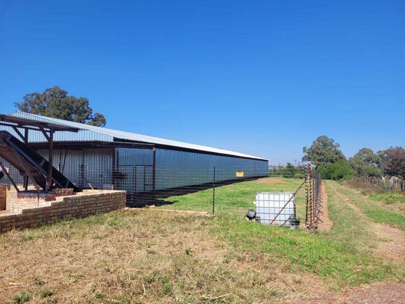 Egg farm in Bapsfontein for Sale - Photo 1