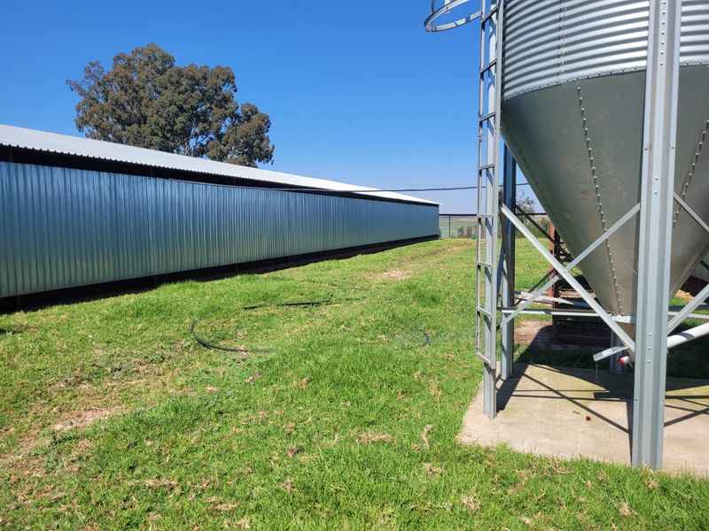 Egg farm in Bapsfontein for Sale - Photo 2