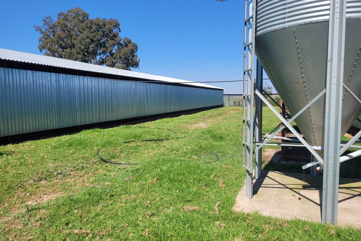 Egg farm in Bapsfontein for Sale - Photo 2