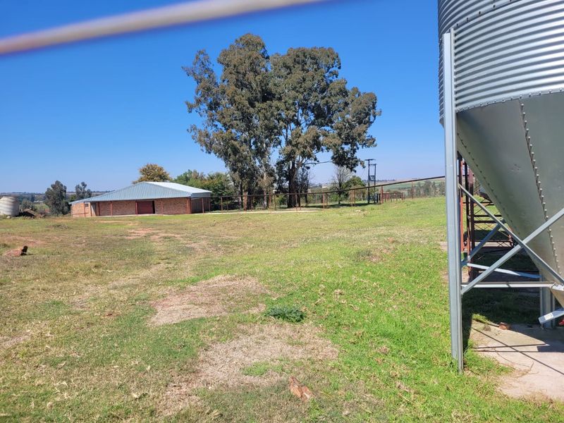 Egg farm in Bapsfontein for Sale - Photo 4