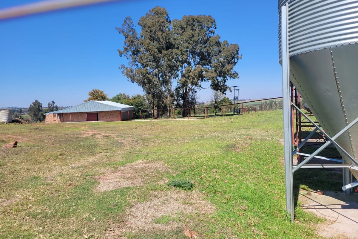 Egg farm in Bapsfontein for Sale - Photo 4