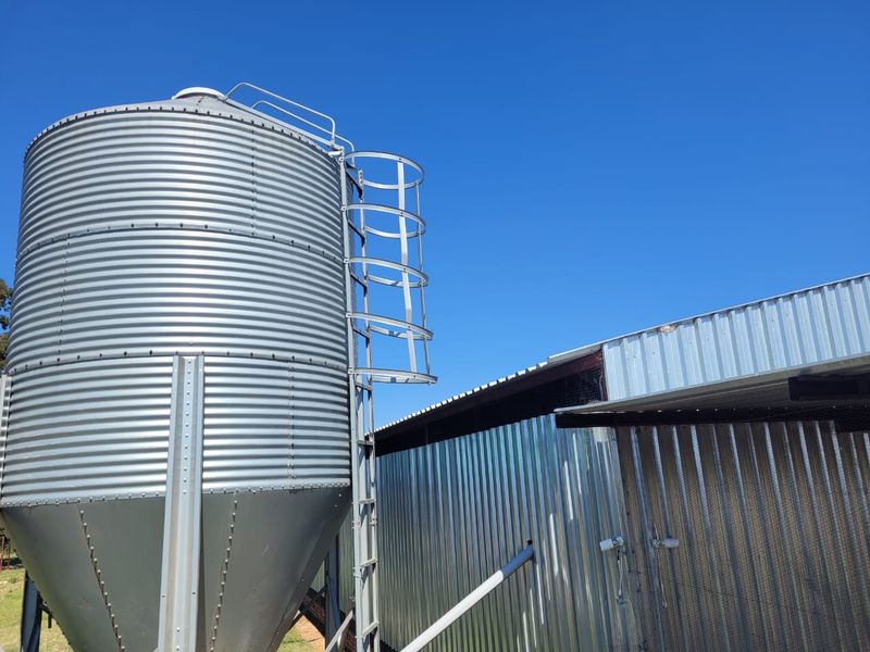 Egg farm in Bapsfontein for Sale - Photo 3