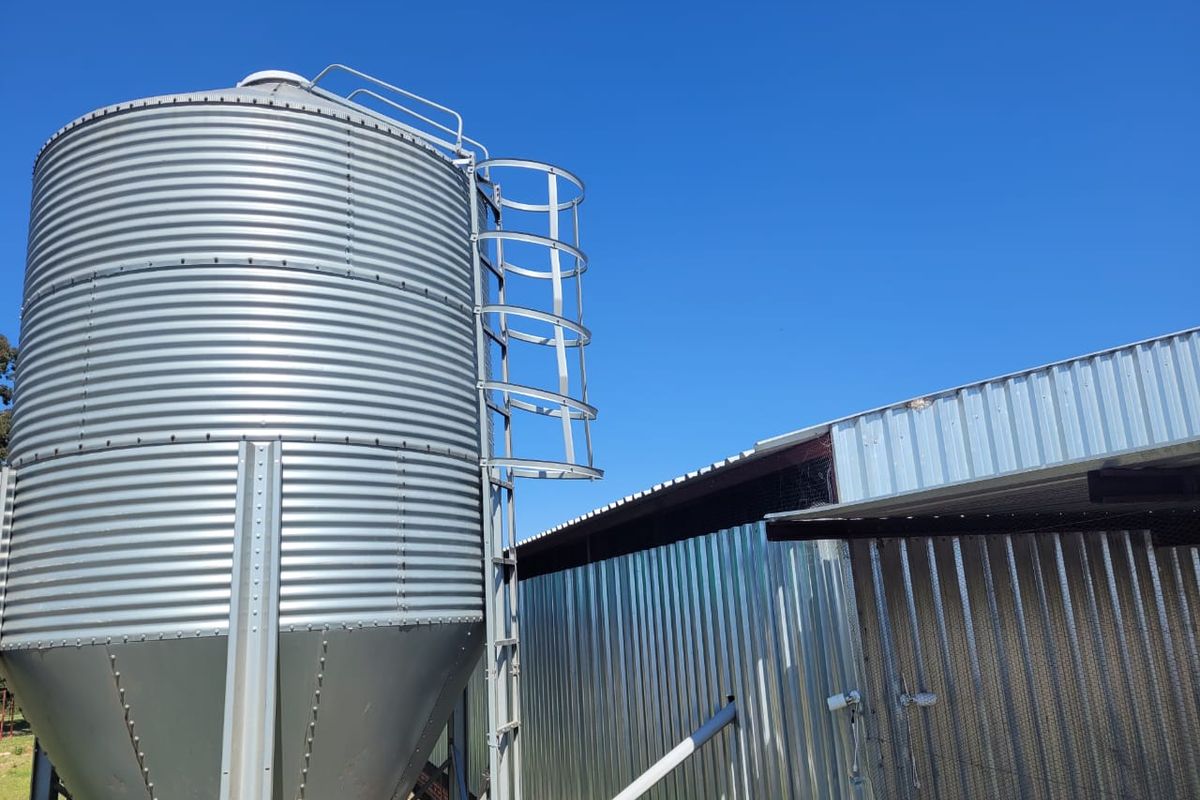 Egg farm in Bapsfontein for Sale - Photo 3