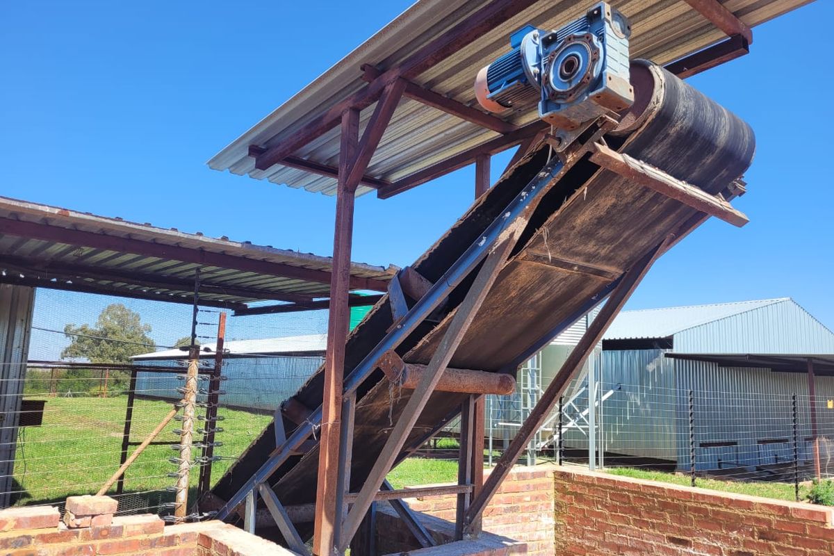 Egg farm in Bapsfontein for Sale - Photo 5