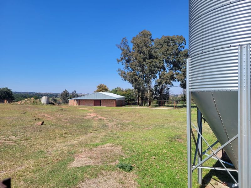 Egg farm in Bapsfontein for Sale - Photo 10
