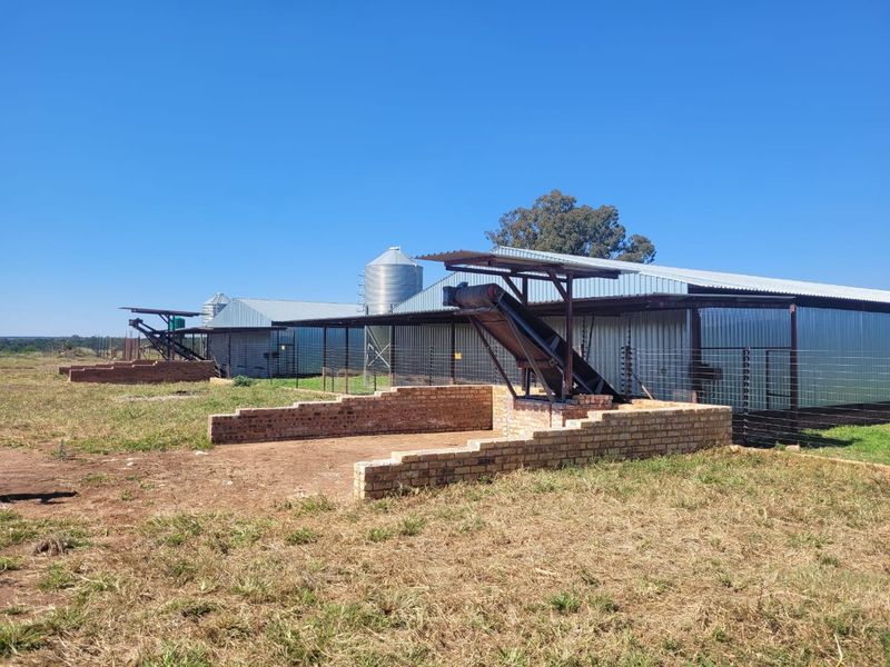 Egg farm in Bapsfontein for Sale - Photo 7