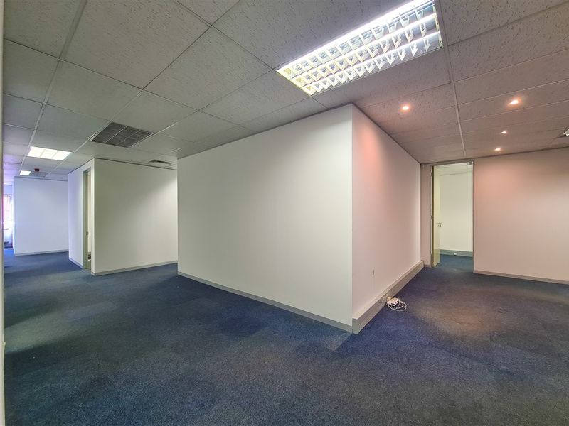 An empty, open-plan office space featuring a suspended ceiling with recessed lighting and blue carpet flooring, offering a versatile layout for professional use.