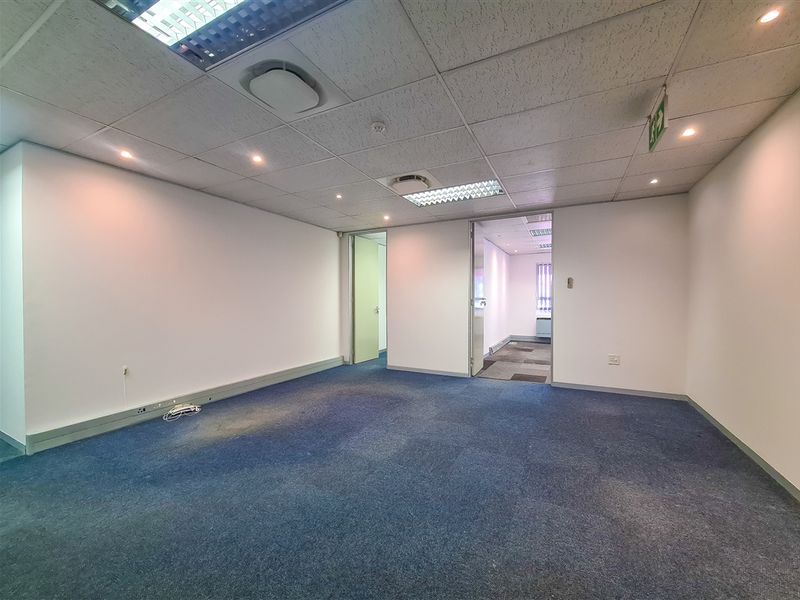 An empty office space featuring a suspended ceiling with recessed lighting and blue carpet flooring, providing a clean and functional workspace.