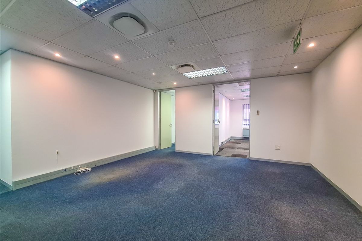 An empty office space featuring a suspended ceiling with recessed lighting and blue carpet flooring, providing a clean and functional workspace.
