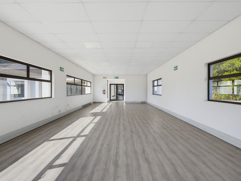 A bright, vacant commercial office space featuring laminate flooring, a suspended ceiling, and large windows providing ample natural light.