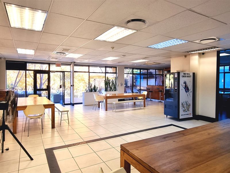 Spacious open-plan office area featuring suspended acoustic ceiling tiles, recessed fluorescent lighting, large glass windows, and tiled flooring throughout.