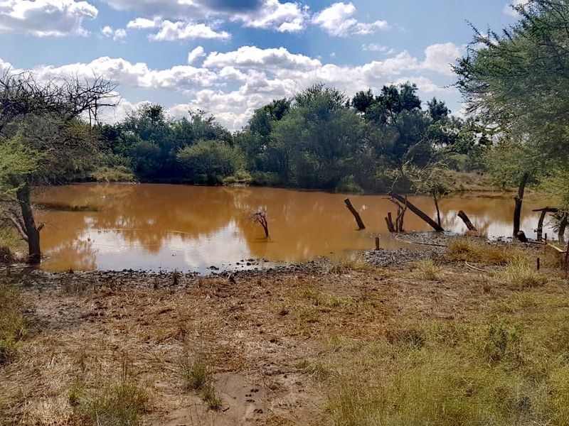 Private Bushveld Paradise in the Heart of Groot Marico - Photo 1