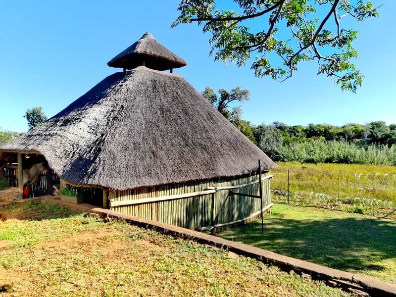 Private Bushveld Paradise in the Heart of Groot Marico - Photo 7