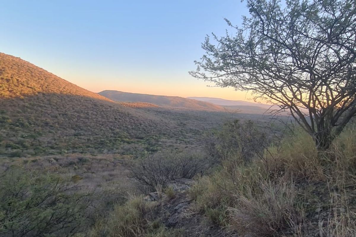 Private Bushveld Paradise in the Heart of Groot Marico - Photo 2