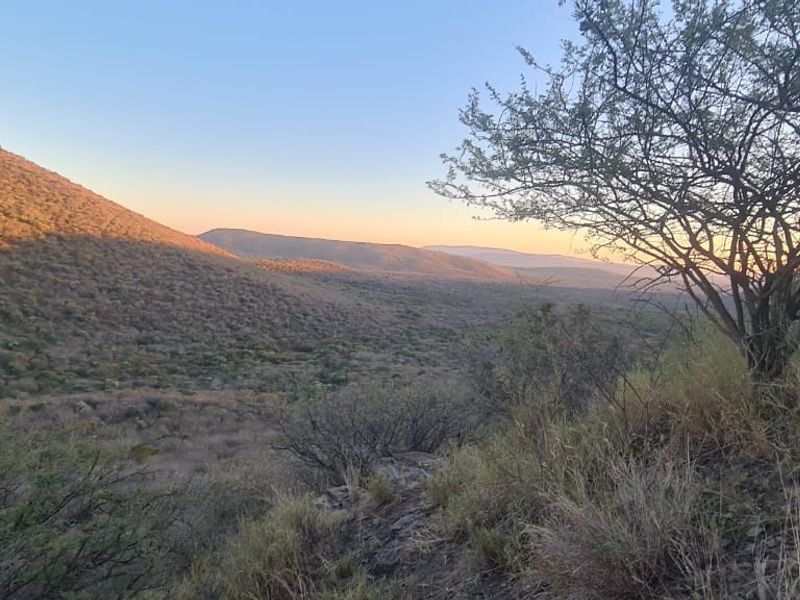 Private Bushveld Paradise in the Heart of Groot Marico - Photo 2