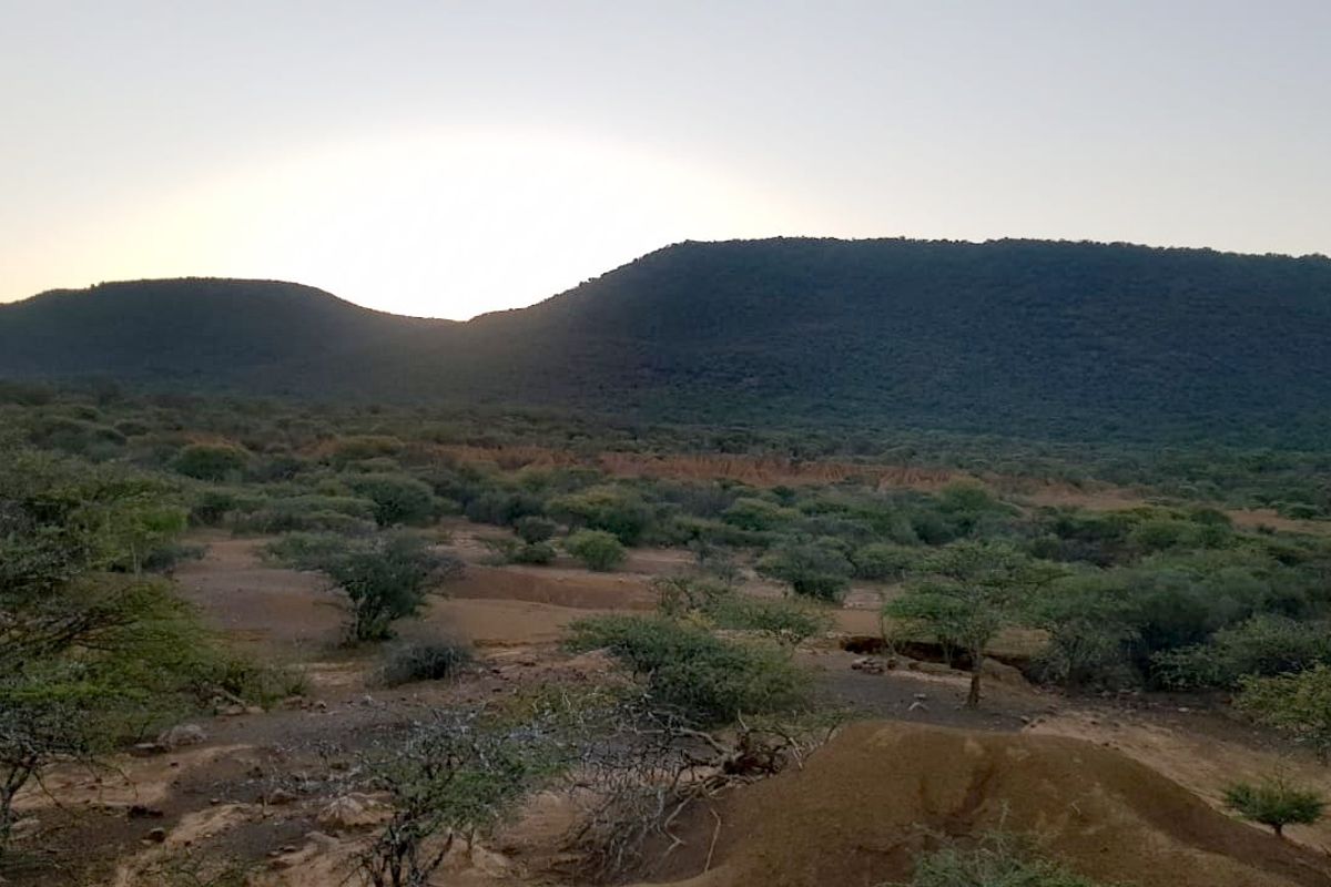 Private Bushveld Paradise in the Heart of Groot Marico - Photo 3