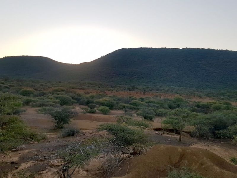 Private Bushveld Paradise in the Heart of Groot Marico - Photo 3