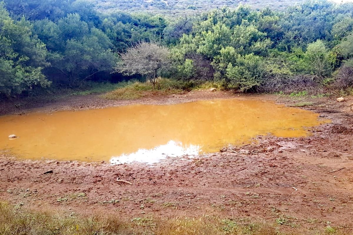 Private Bushveld Paradise in the Heart of Groot Marico - Photo 4
