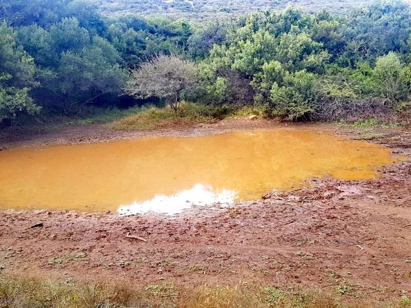 Private Bushveld Paradise in the Heart of Groot Marico - Photo 4